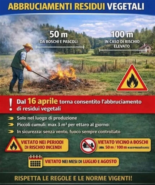 Abbruciamenti  residui vegetali